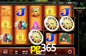 Descubra o Mundo do Cassino Online com pg365